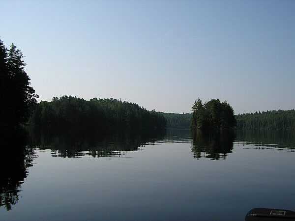 opeongo